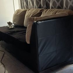 Pull Out Couch