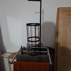 Holding Toilet Paper