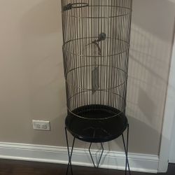 Bird Cage