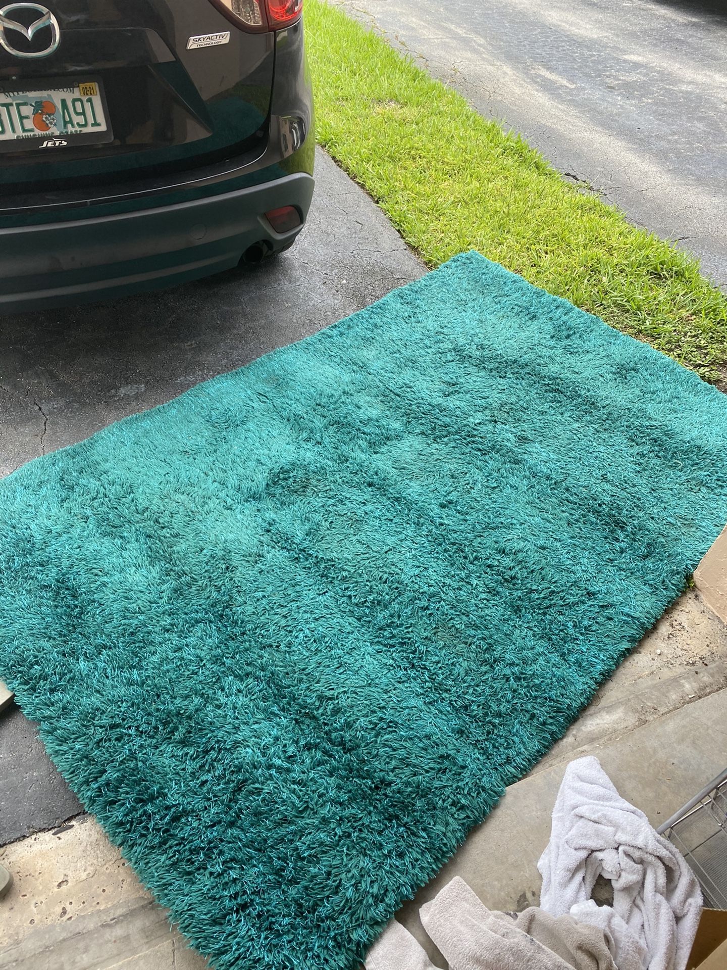 Large teal carpet