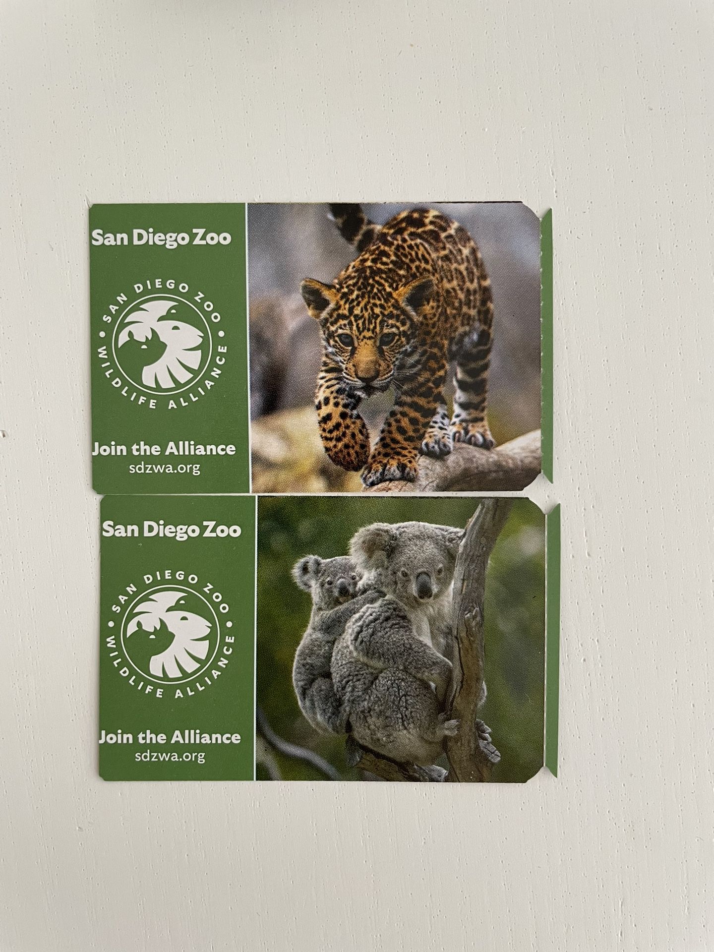 San Diego Zoo/Safari Park 50% Discount Coupon