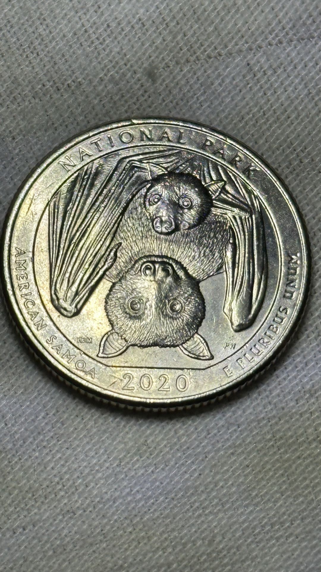 Rare 2020 P Covid Bat Quarter