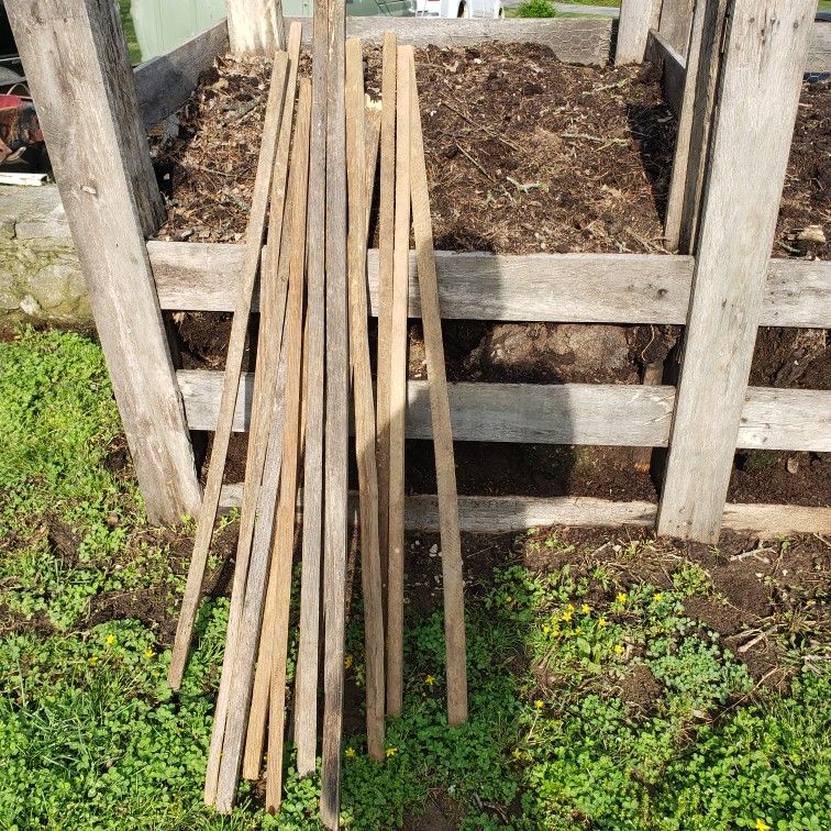 Garden Tobacco Sticks Tomato Stakes