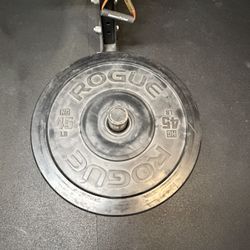 Rogue HG Bumper Plates