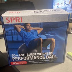 SPRI 65cm Anti Burst Weighted Performance Ball  Grey