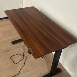 Adjustable Desk 48x24