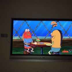 60” Panasonic Viera Plasma TV.