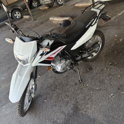 Sin Titulo 