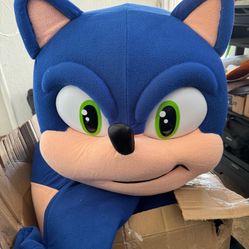 Sonic And Friend Costumes 