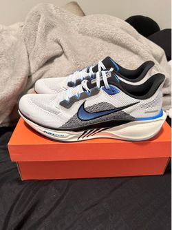 Air Zoom Pegasus 41