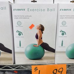 Everfit Exercise And Yoga Ball