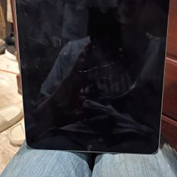 iPad Pro 11in 4th Gen