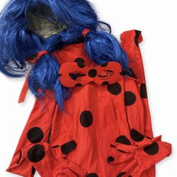 Miraculous Costume 