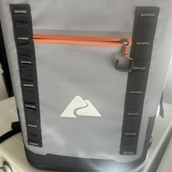 Backpack Cooler Holds 20 Cans 