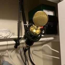 Recording Mic