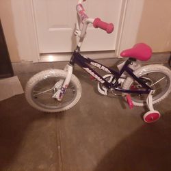 Magna Girls Kid Bike With Training Wheels 