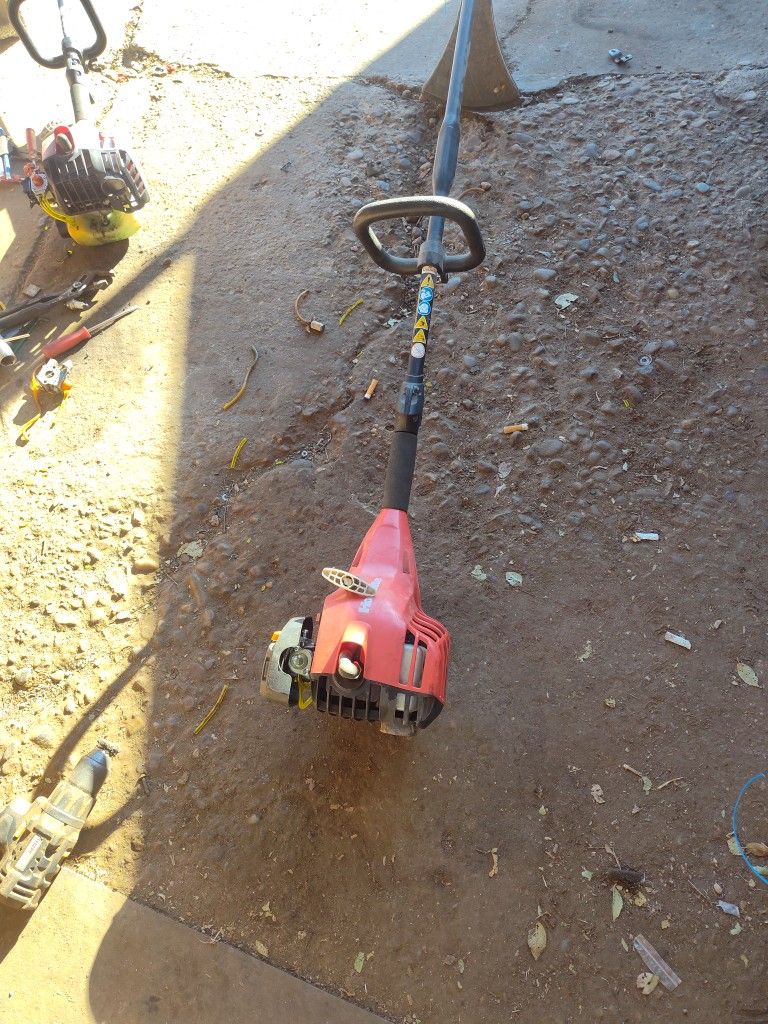 Home Lite Weed Eater New Carburetor Runs Good