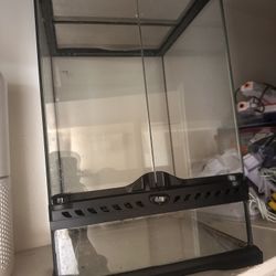 Terrarium 