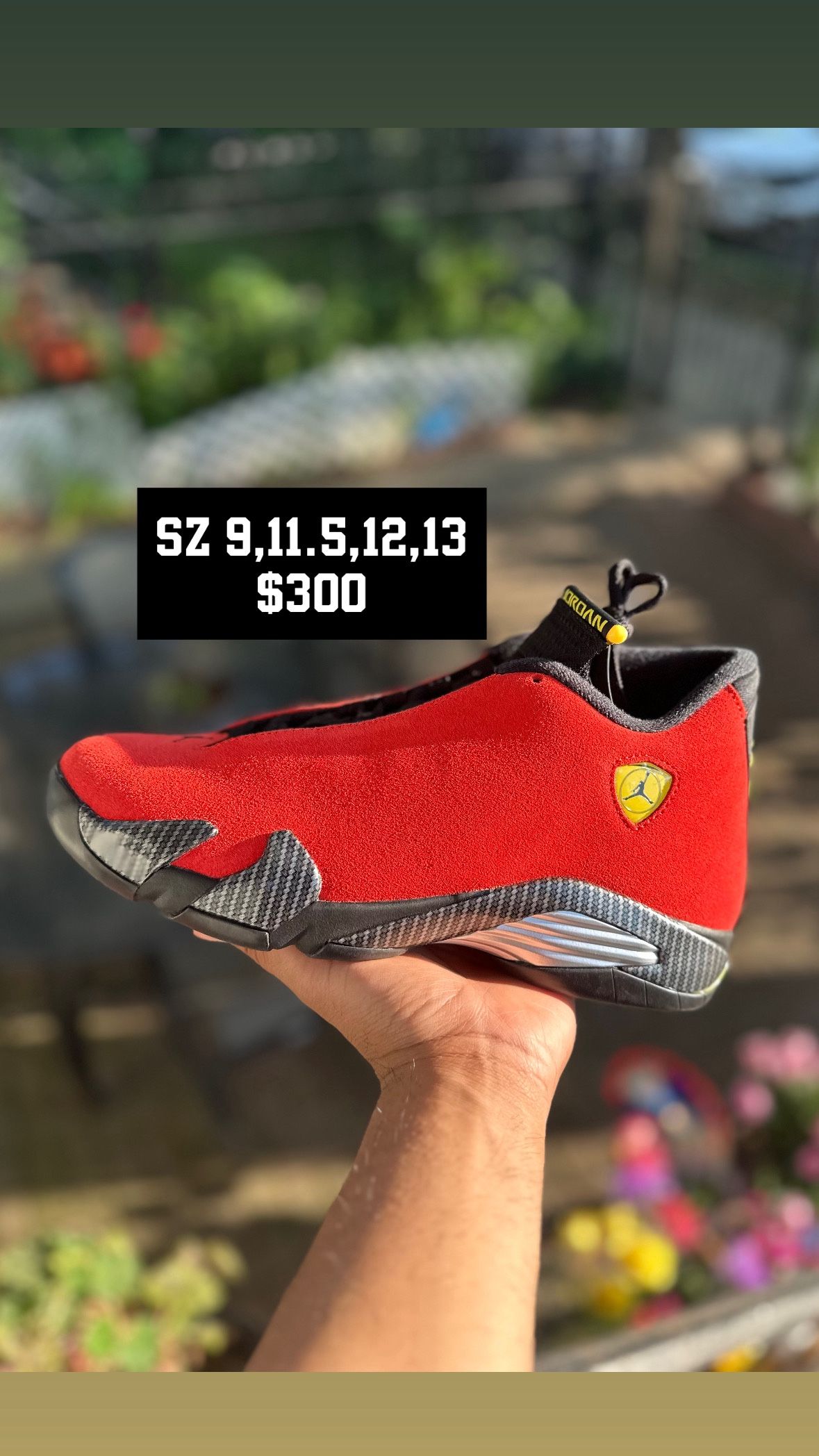 JORDAN 14 FERRARI