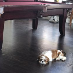 Pool Table 8ft Modern With Dinning Top ( Free Delivery & Set Up & New Color Felt Of Your choice) 