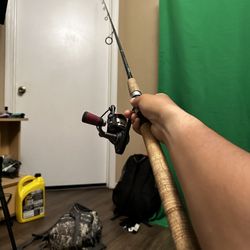 Shimano Teramar 7.10ft With Penn Passion 4k