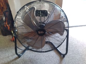 Fan