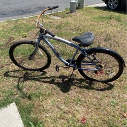 Bike - Street Cruiser