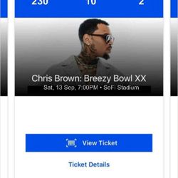 CHRIS BROWN CONCERT TIX (9/13)
