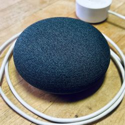 Google Nest (With Charger)