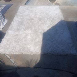 Big Area Rug