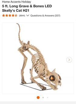 BRAND NEW SEALED Home Depot 5 Ft Skelly’s Cat – Halloween Decor