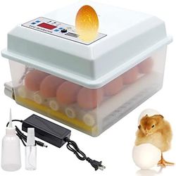 16 Eggs Incubators for Hatching Eggs Chicken 