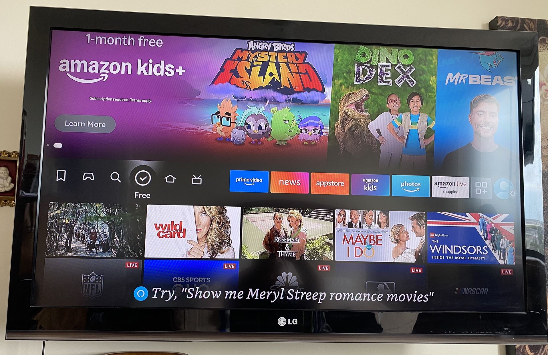 LG Flatscreen 32 In TV