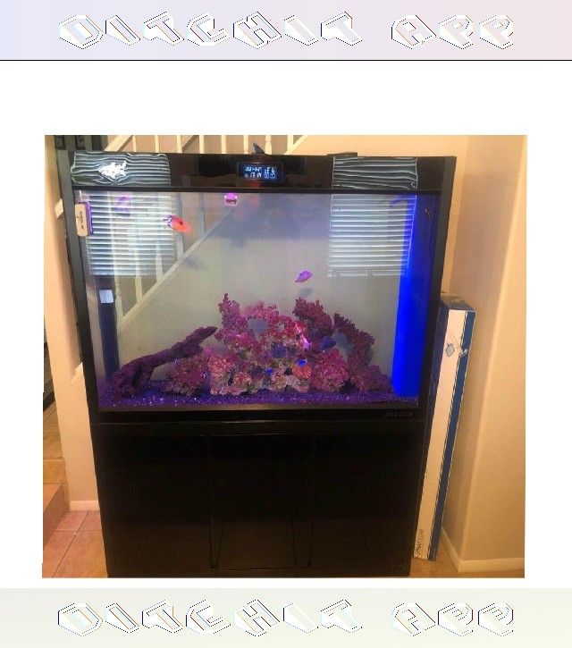company think Full Aquarium Tank - Spacious & Eye-Catching