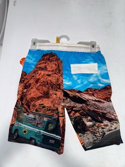 Kids Dinosaur Road Trip Swim Shorts