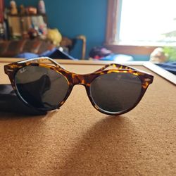 Ray  Brn Sunglasses 