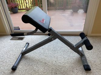 Sunny Health & Fitness 45° Hyperextension Roman Chair