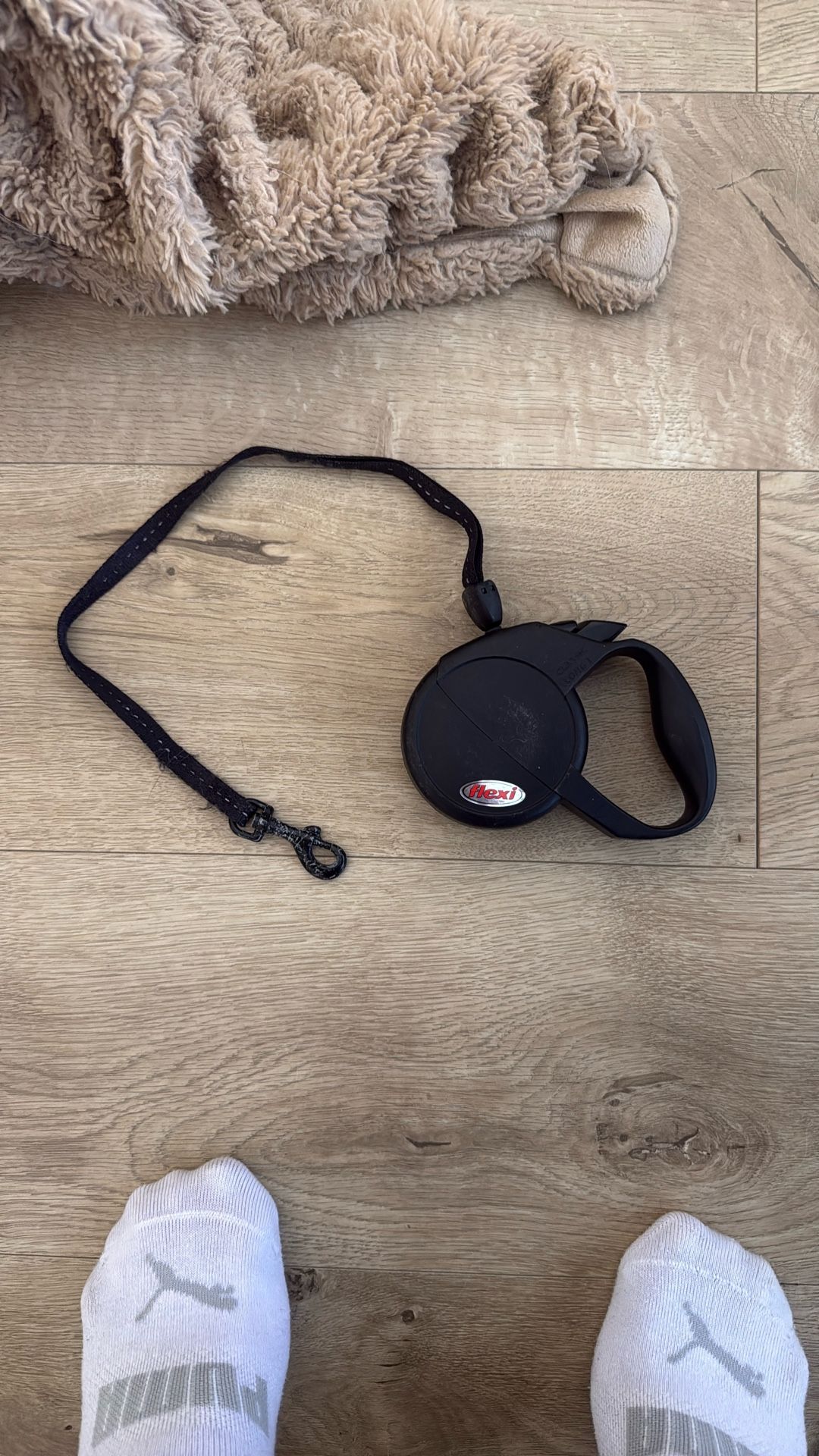 Retractable Dog Leash