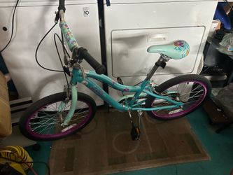 20” schwinn girls bike