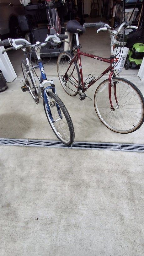 Two Adult Bicycles - LAST CHANCE
