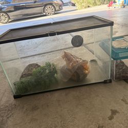 Reptile Habitats