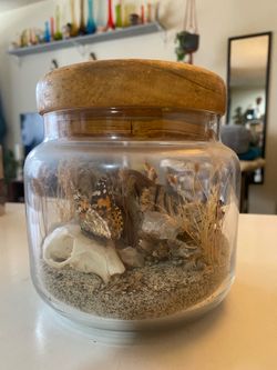 Small desert terrarium