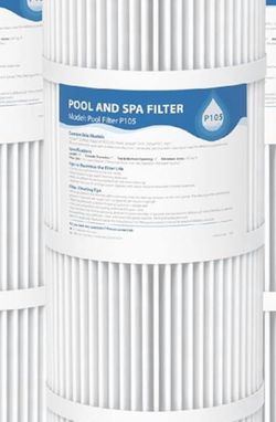 Pool and spa filter P105