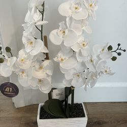 Flower Pot
