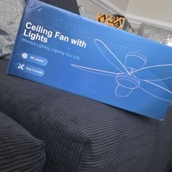 Fan Witg Lights 