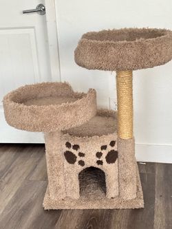 Cat Tree/Sratcher