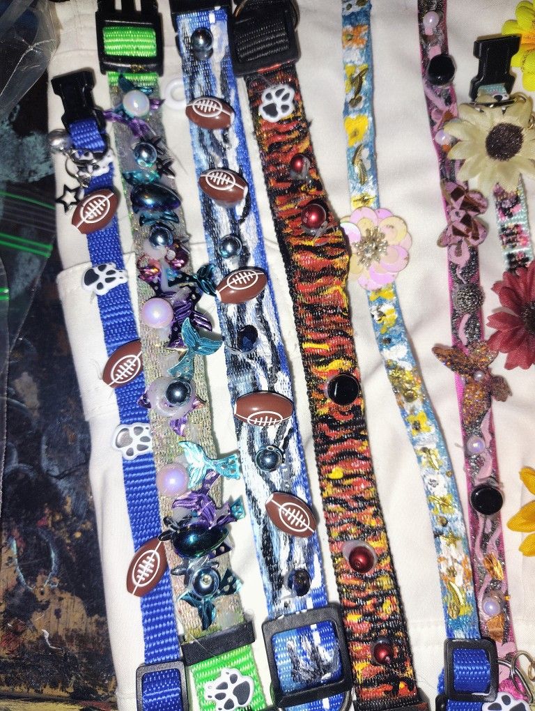 Dog And Cat Collars
