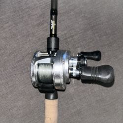 Calcutta 300D on a Fenwick HMG