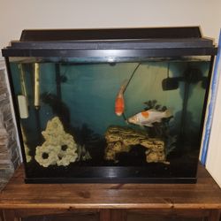 Fish Tank (40 Gallon)