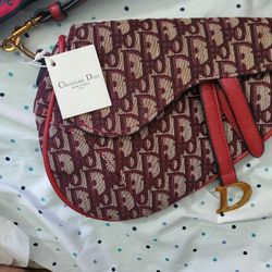 Dior Saddle Bag New